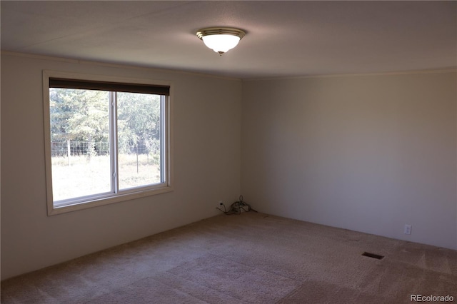 carpeted empty room with ornamental molding and plenty of natural light