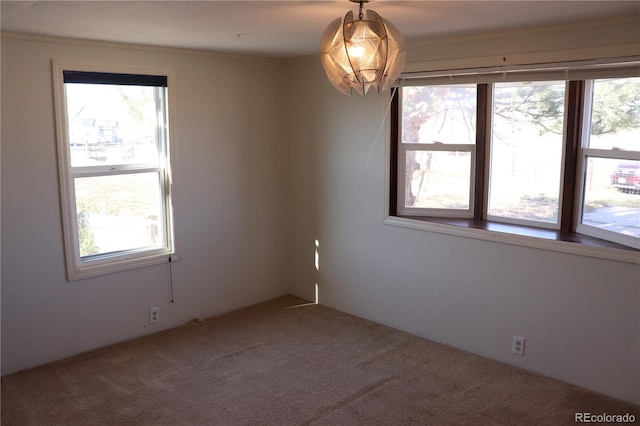 carpeted empty room featuring a healthy amount of sunlight