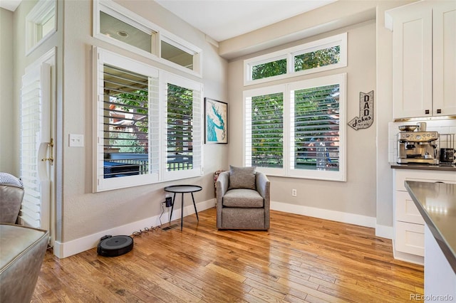 living area with light hardwood / wood-style floors