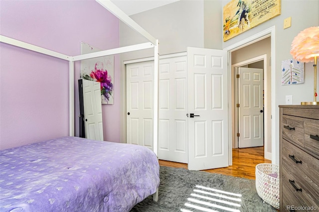 bedroom featuring wood-type flooring and a closet