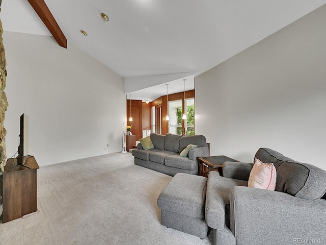461 Nome St, Aurora, CO 80010 - living room with carpet flooring