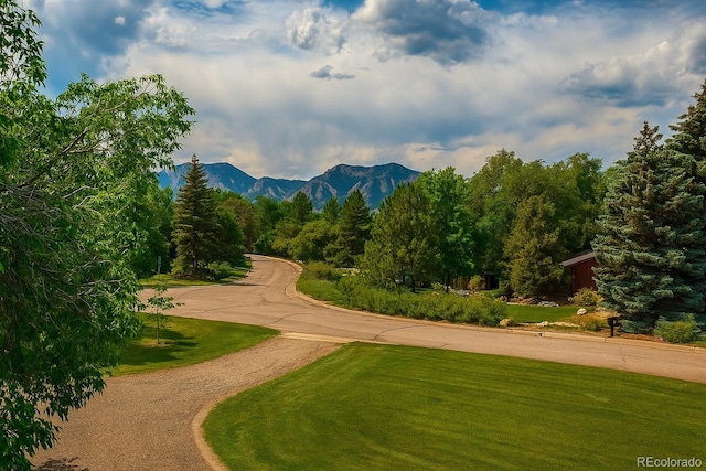 1016 Stearns Ave, Boulder, CO 80303 - photo 25