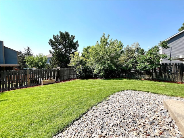 10450 Newcombe St, Broomfield, CO 80021 - photo 31
