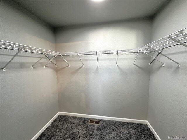 spacious closet with carpet floors and visible vents