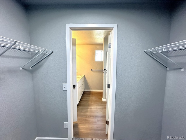 spacious closet with wood finished floors