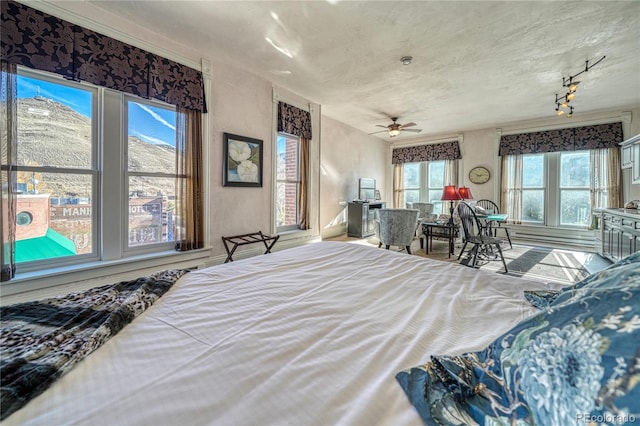 bedroom featuring multiple windows