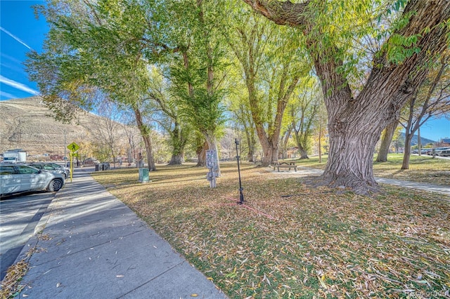 204 N F St Unit D1/301, Salida, CO 81201 - photo 25