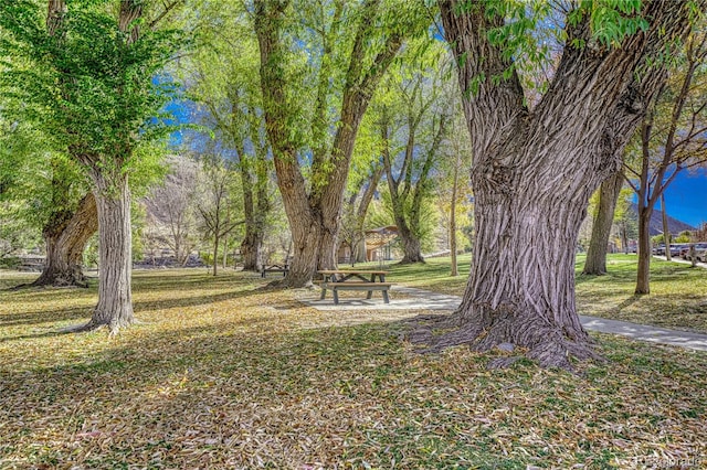 204 N F St Unit D1/301, Salida, CO 81201 - photo 26