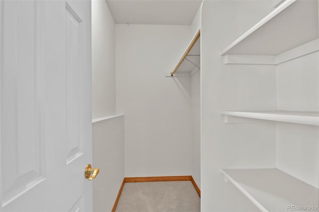 5130 Sevenoaks Dr, Colorado Springs, CO 80919 - walk in closet featuring carpet floors