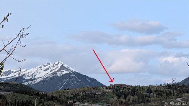 2710 Ryan Gulch Rd Unit 2731, Silverthorne, CO 80498 - view of mountain background