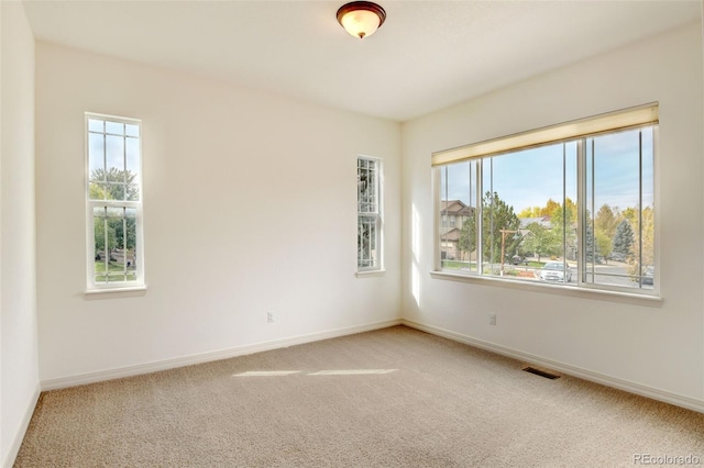 spare room featuring carpet flooring and a wealth of natural light