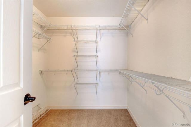 walk in closet with light colored carpet