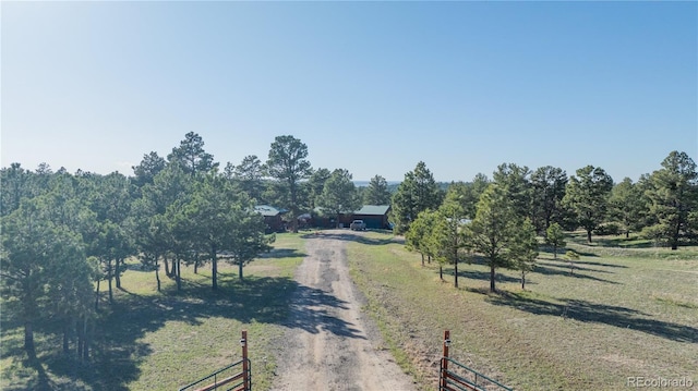 view of street with driveway, a rural view, and a gated entry