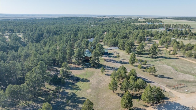 bird's eye view with a view of trees