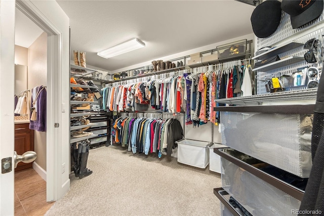 1133 Lucky Ct, Castle Rock, CO 80109 - walk in closet with carpet floors