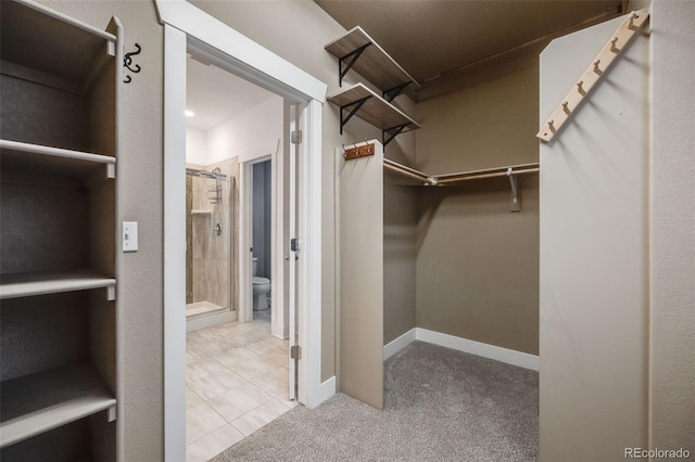 walk in closet with light colored carpet