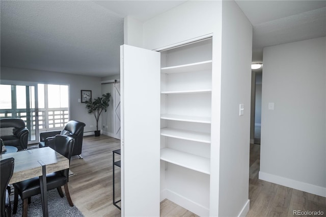 closet featuring a baseboard heating unit