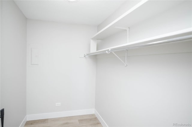 spacious closet featuring light wood-type flooring