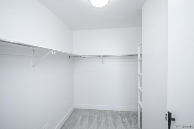 walk in closet featuring light carpet