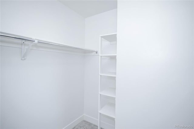 walk in closet featuring carpet flooring