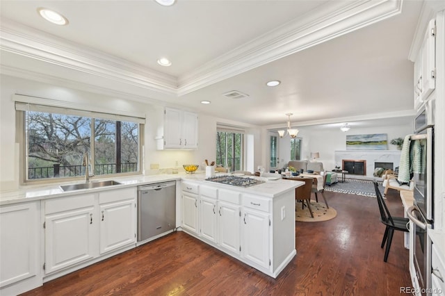8424 E Otero Cir, Centennial, CO 80112 - kitchen featuring stainless steel appliances, a sink, a peninsula, ornamental molding, and healthy amount of natural light