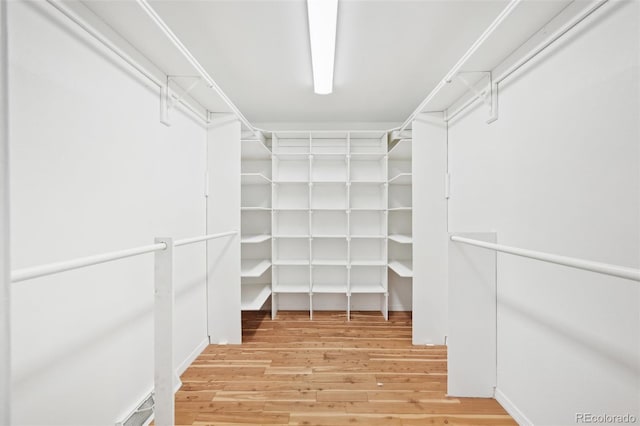 8424 E Otero Cir, Centennial, CO 80112 - walk in closet with light wood-style floors
