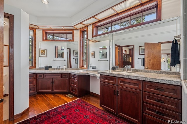 bathroom with a healthy amount of sunlight, vanity, and wood finished floors