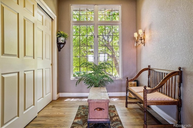 interior space with light hardwood / wood-style floors