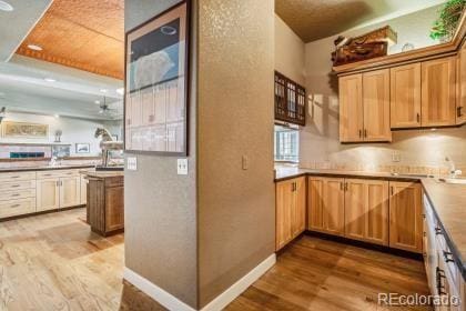 kitchen featuring a raised ceiling, kitchen peninsula, and light hardwood / wood-style flooring