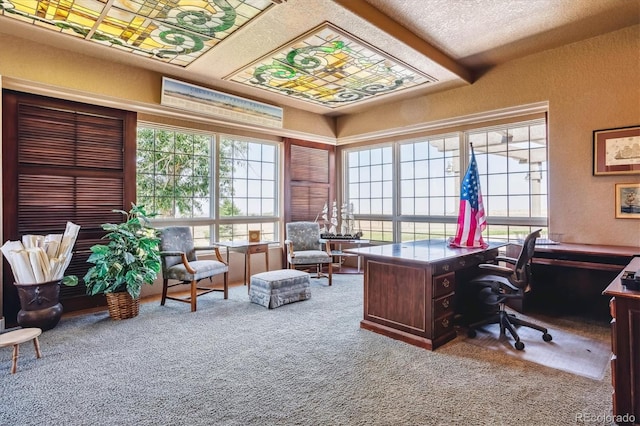 office space with plenty of natural light and carpet flooring