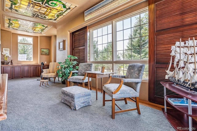 sitting room featuring carpet