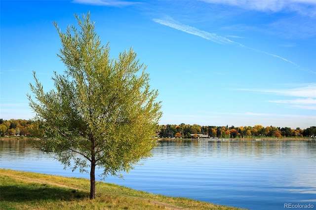 2391 King St, Denver, CO 80211 - water view