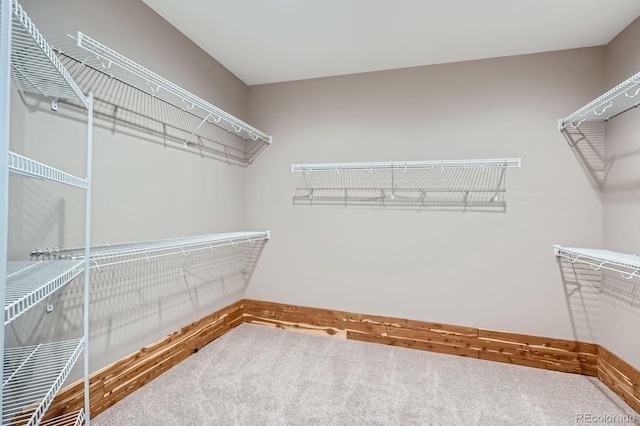 8469 Winter Berry Dr, Castle Pines, CO 80108 - walk in closet featuring carpet flooring