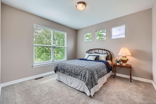 8469 Winter Berry Dr, Castle Pines, CO 80108 - bedroom with baseboards, multiple windows, and carpet floors