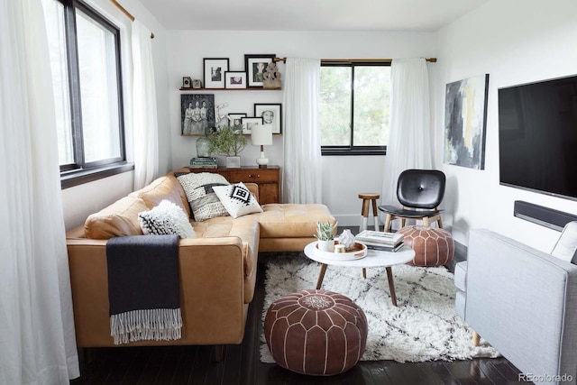 living room with dark hardwood / wood-style floors