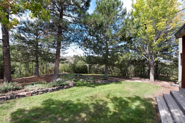 3823 Castle Butte, Castle Rock, CO 80109 - photo 48