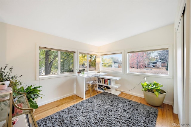 interior space featuring lofted ceiling