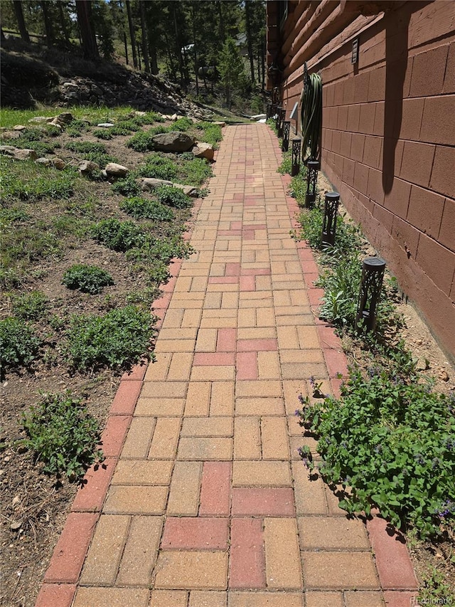 6241 Kilimanjaro Dr, Evergreen, CO 80439 - view of patio