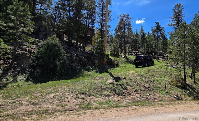 6241 Kilimanjaro Dr, Evergreen, CO 80439 - view of yard