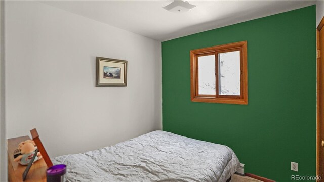 1269 Roland Dr, Bailey, CO 80421 - view of bedroom