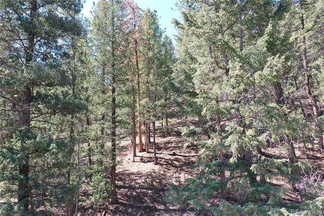 1269 Roland Dr, Bailey, CO 80421 - view of tree filled area