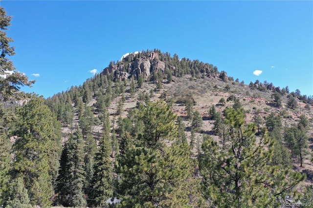 1269 Roland Dr, Bailey, CO 80421 - view of mountain background with a forest