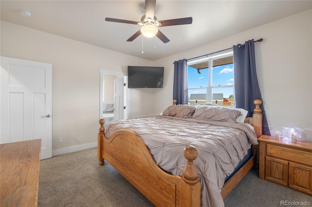 31350 Glenview Dr, Buena Vista, CO 81211 - photo 20