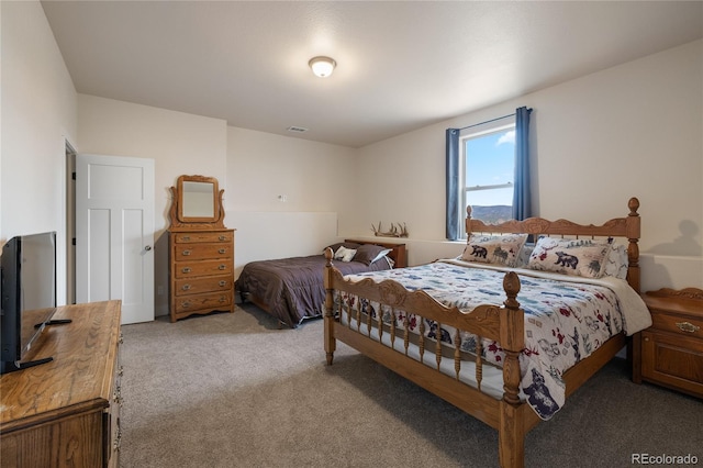31350 Glenview Dr, Buena Vista, CO 81211 - photo 33