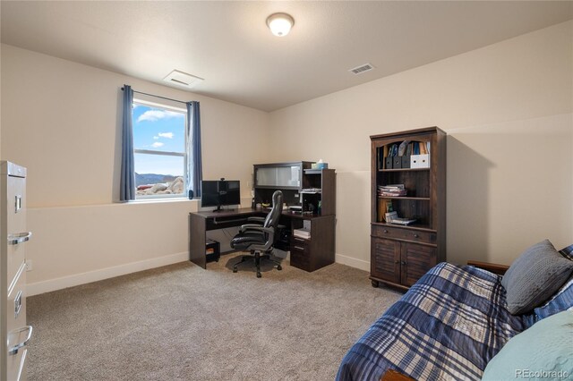 31350 Glenview Dr, Buena Vista, CO 81211 - photo 34