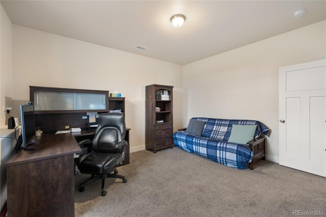 31350 Glenview Dr, Buena Vista, CO 81211 - photo 35