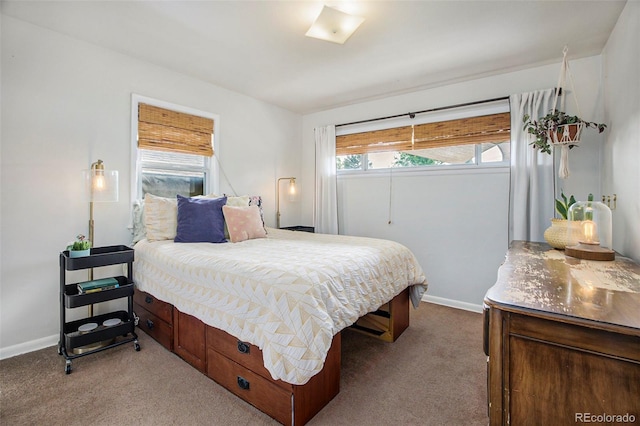 2595 S Irving St, Denver, CO 80219 - photo 10
