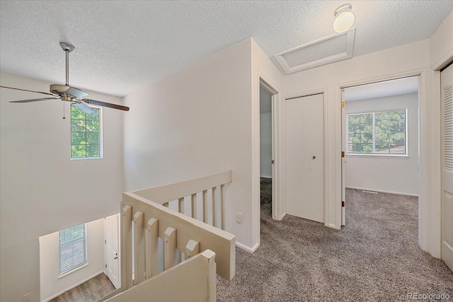 8438 Everett Way Unit B, Arvada, CO 80005 - hall with an upstairs landing, a textured ceiling, carpet, and attic access