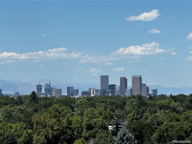 1888 S Jackson St Unit 603, Denver, CO 80210 - skyline view featuring a heavily wooded area