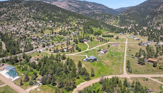 640 Estes Park Estates Dr, Lyons, CO 80540 - photo 5